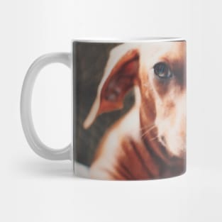 A Beautiful Dog Mug